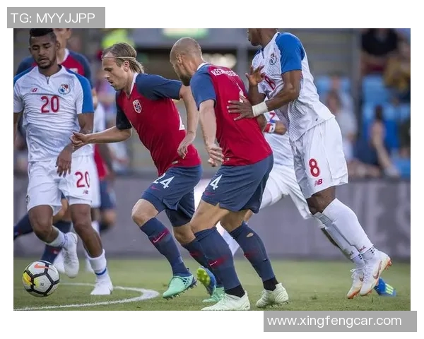 丹麦与波兰激战正酣比赛结果揭晓精彩瞬间回顾与分析