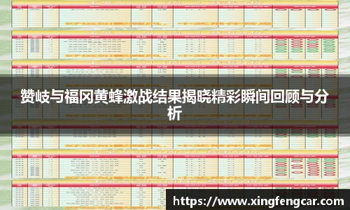 赞岐与福冈黄蜂激战结果揭晓精彩瞬间回顾与分析
