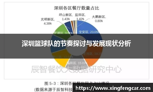 深圳篮球队的节奏探讨与发展现状分析