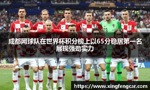 成都网球队在世界杯积分榜上以65分稳居第一名展现强劲实力