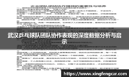武汉乒乓球队团队协作表现的深度数据分析与启示